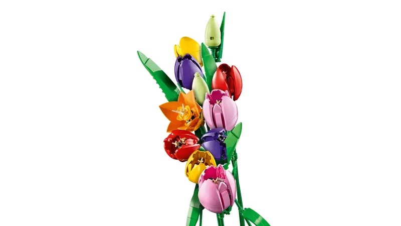 LEGO 11501 Botanicals Boeket met Tulpen - Afbeelding 4