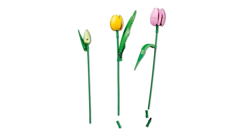 LEGO 11501 Botanicals Boeket met Tulpen - Afbeelding 5