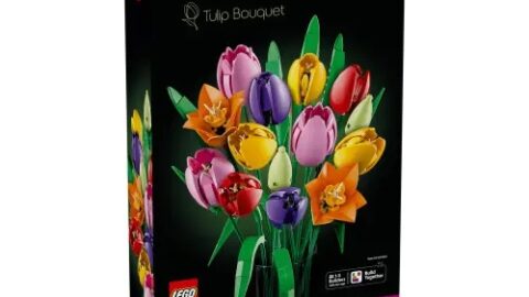 LEGO 11501 Botanicals Boeket met Tulpen