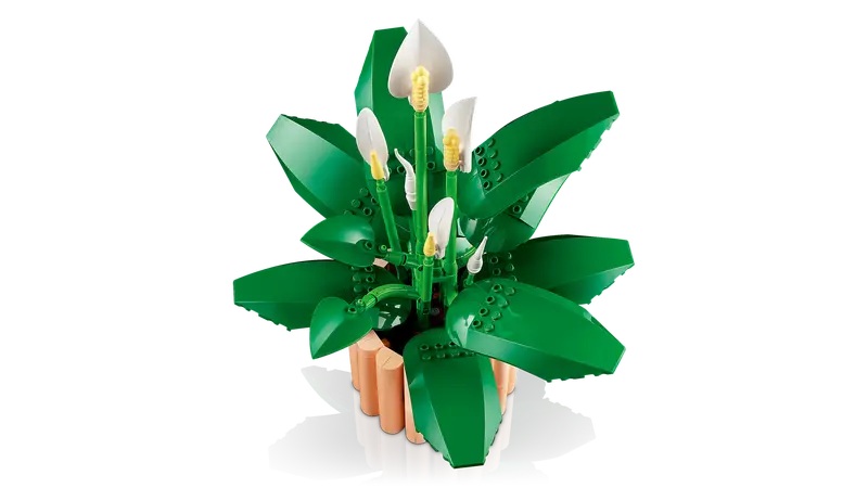 LEGO 11504 Botanicals Lepelplant - Afbeelding 3
