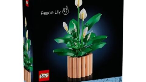 LEGO 11504 Botanicals Lepelplant