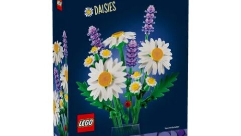 LEGO 11508 Botanicals Madeliefjes