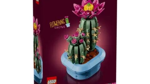 LEGO 11509 Botanicals Bloeiende Cactus